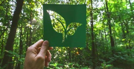 Hand holding a leaf cut-out in front of a green forest